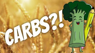 Theory Thursday | Grains and Cereals