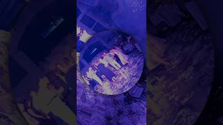 Download Lagu #dj #party#mix #dance#2025#musicvideo MP3