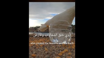 خشوع يسلب العقول.              #القرآن_الكريم                         #القارئ_محمد_السايح