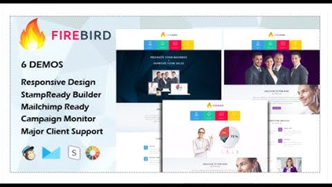 FIRE BIRD - Multipurpose Responsive Email Template + Stamp Ready Builder by evethemes Download