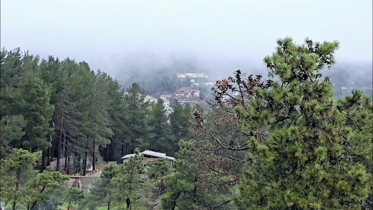 رحلتي إلى سويسرا الشمال الغربي.فيديو الأجواء الشتوية و الراحة النفسية. 🇹🇳..  Hôtel Thabraca