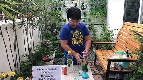 Devils Toothpaste, Hands-On Minds-On Experiment