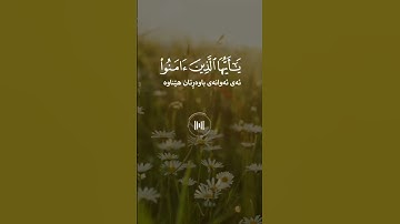#خالد_الجلیل #سورة_الاحزاب #fypシ #اكسبلور #fypシ゚viral #لايك #allah #دويتو #الرحمن #allahuakbar
