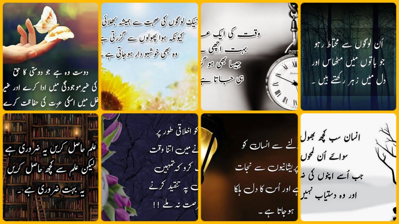 Powerful Urdu Quotes about life 🧬💯🏵️Hope struggle and people 💖👌💥