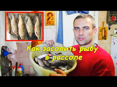 Video: Kako Uloviti Sabrefish