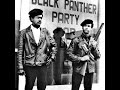 Ce que vous devez absolument savoir sur le Black Panther Party, les vérités cachées...