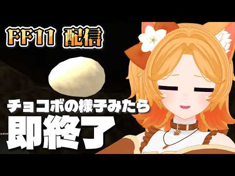 #209【FF11】生まれたかな？チョコボの様子を見るだけ【Odin】