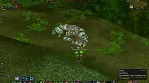 IDP 2 druid multiboxing