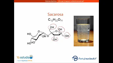 ¿Qué son los solutos y los solventes y por qué se le denomina al agua el solvente universal?