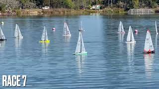 Race 7 - DF65 South Queensland Championship