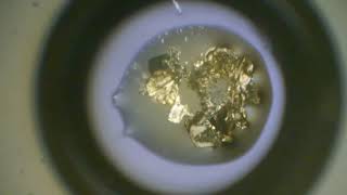 The Marangoni effect   3M  Crystallization  Closed area  Magnification 3