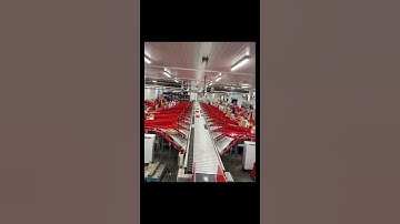 Creative Conveyor System Automation