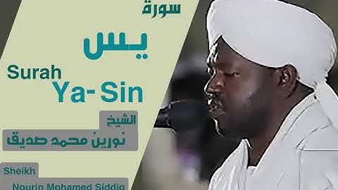 الشيخ نورين محمد صديق سورة يس  Sheikh | Nourin Mohamed Siddig |Surah Ya-Sin