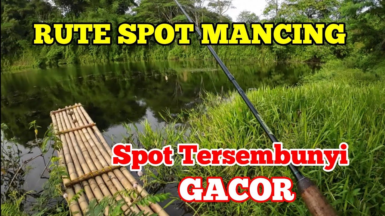 Rute Spot Mancing Tersembunyi Sekitar Cisauk Serpong