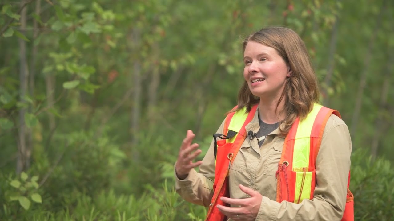 Virtual Tour of a Sustainably Managed Forest