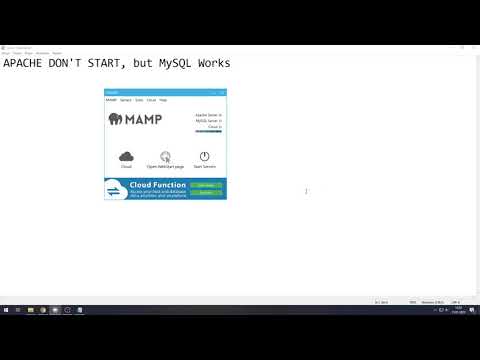 mamp apache not starting windows