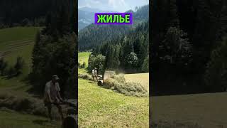 #швейцария #вакансия #вакансии #работа #робота
