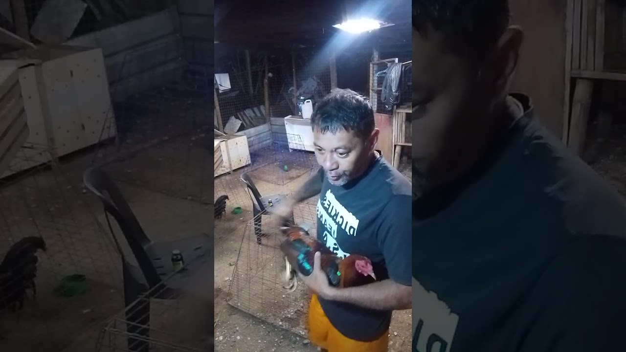 For free training exercises application only...