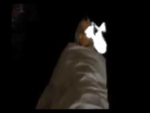 Gammachuu Hin Qabuu Namni Cinqiin Qabrii Isaa Eeggattu Namni Gaaffiin Qabrii Isaa Eeggattu Namni