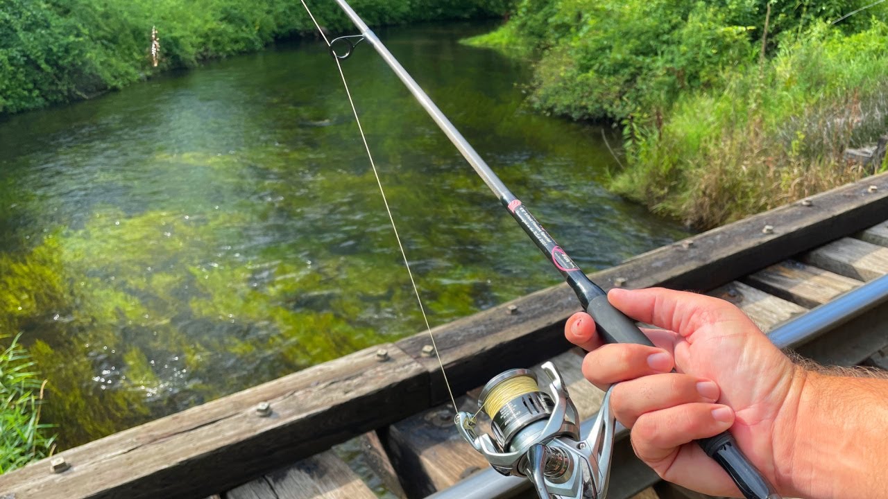 Creek Fishing is Always Different YouTube