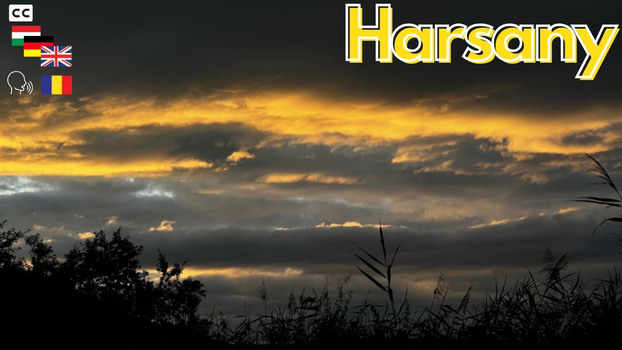 20 de CRAPI în 3 Zile: O Partidă Perfectă de Pescuit la Harsany