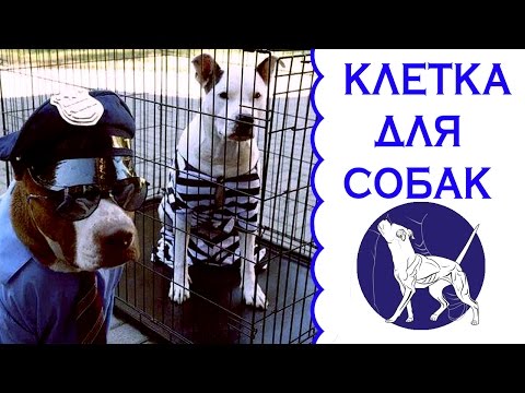 Клетка для собак тюрьма или дом?
