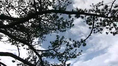Perché il 15 agosto si chiama Ferragosto?