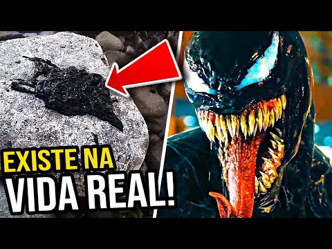 Video: Simboloosis Sa Merkado