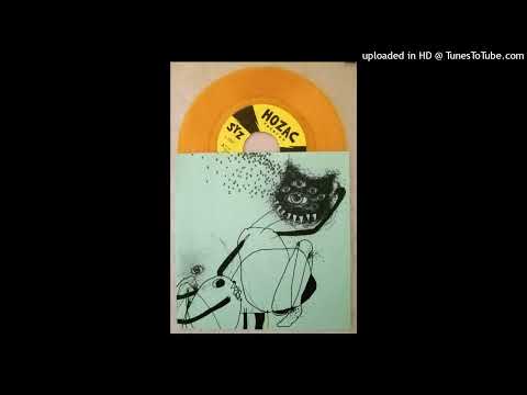 SYZ — 2007 CHICAGO POST PUNK SYZ "Complicated" Screaming Yellow Zonkers garage KRUNCHIES Illinois art