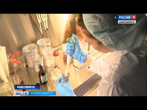 newspaper mockup Новосибирские ученые работают над криоконсервацией эмбрионов краснокнижных животных