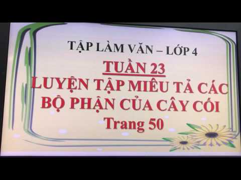 [Tập làm văn - Lớp 4] Luyện tập miêu tả các bộ phận của cây cối - Tuần 23