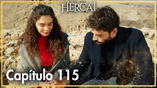 Hercai - Capítulo 115