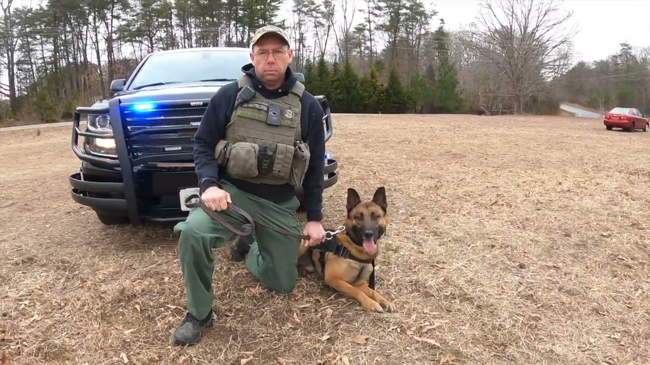 K9 Demo Fair advertisement 2024