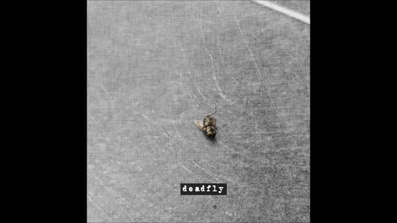Deadfly - Lowlife Crisis