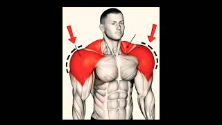 Качаем плечи #спорт #тренировка #качалка #плечи #sports #shoulder #shoulderworkout #гантели #shorts