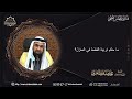 ما حكم تربية القطط في المنزل