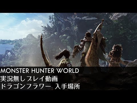 ドラゴンフラワー 入手 ドラゴンフラワー 入手