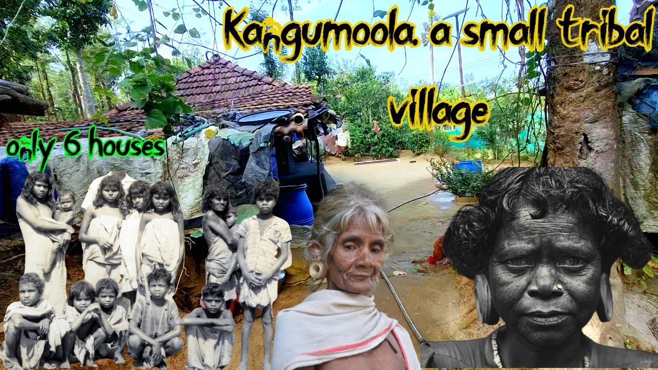 காடுகளில் மறைந்துள்ள கங்குமூலா பழங்குடி கிராமம், பனியார் இனக்குடிகளுடன் வெறும் 6 வீடு 