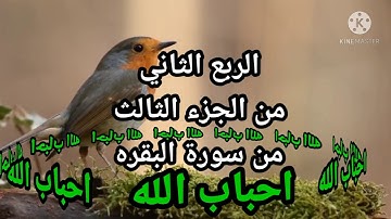 الربع الثاني من الجزء الثالث من سورة البقره 🌹🌹للشيخ مشارى العفاسي 🌹🌹
