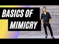 Basics of mimicry mimicry classes learn mimicry in minutes     2  