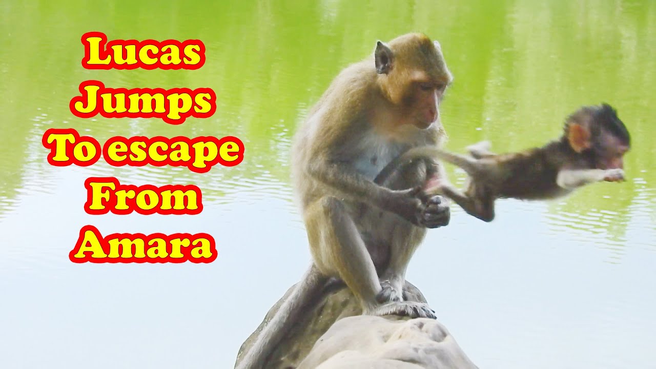 When Amara Kidnap Lucas, is it funny or sad for viewers?