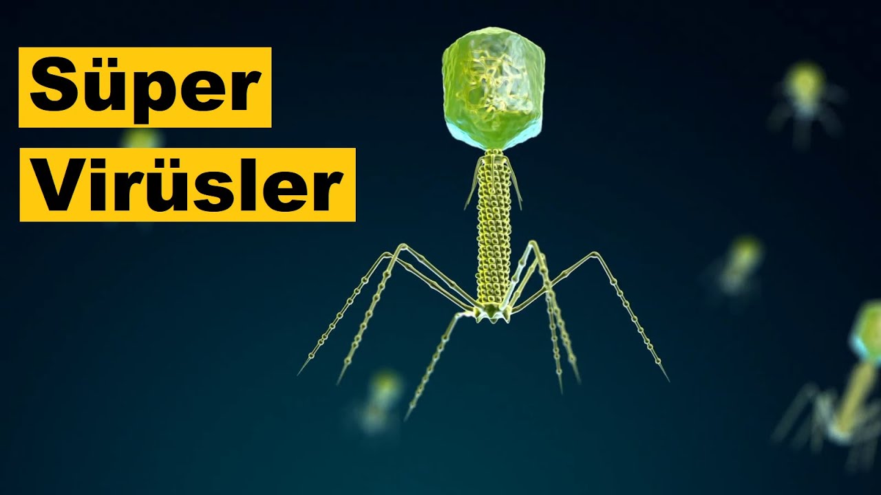 Ölümsüz Süper Virüsleri Tanıyalım