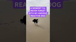 Reactive dog runs free at the beach! #anxiousdog #dogmom