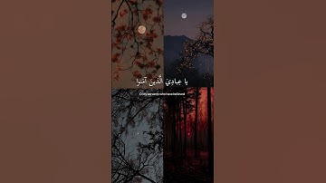 ارح سمعك مع لقارئ عبدالرحمن مسعد🤍🎧 #عبدالرحمن_مسعد #تلاوة #القرآن #القران_الكريم#islam #quran #قرآن