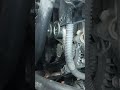 Toyota land cruiser 2023
