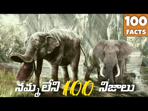 Top 100 Interesting Facts In Telugu | Episode 11 Facts In Telugu new | Telugu Facts | Facts Forever