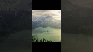 The "Hype" Angle: Real Life or Minecraft? 🌿