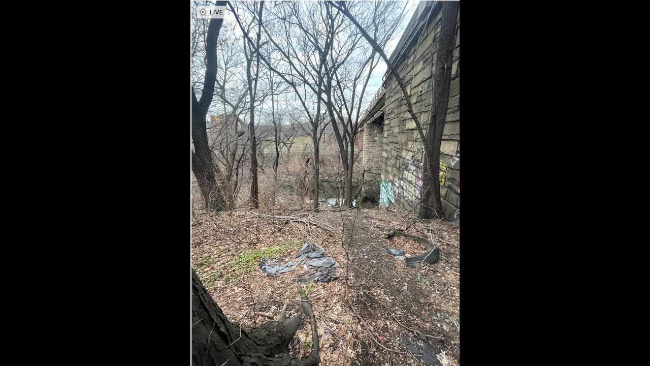 Тайны Старлайт-парка в Бронксе, Нью-Йорк.