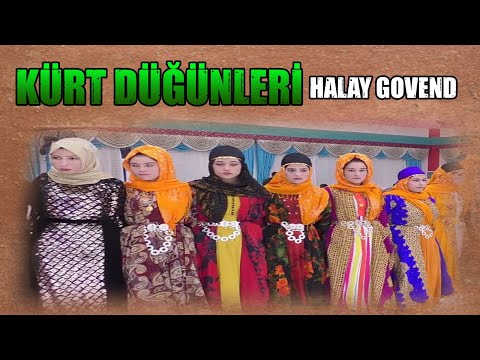 Goved Kürtçe düğün