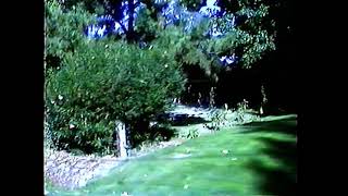 Tour of Wedgewood Ganite Bay, CA 1992